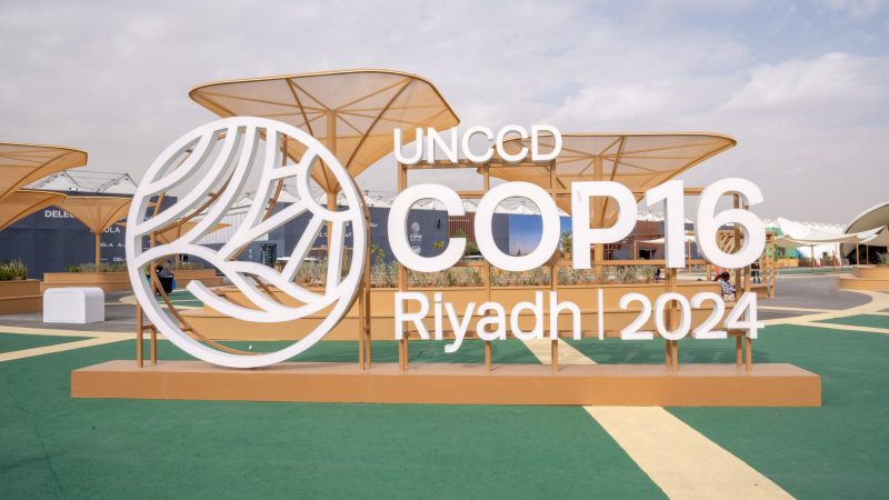 COP16 I Riyadh: Riyadh, 2024 - Brand Events